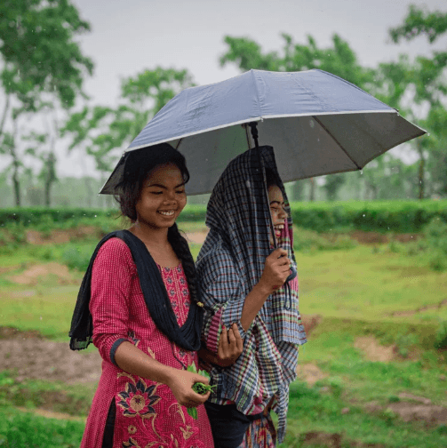 Local Coalition Accelerator: Bangladesh