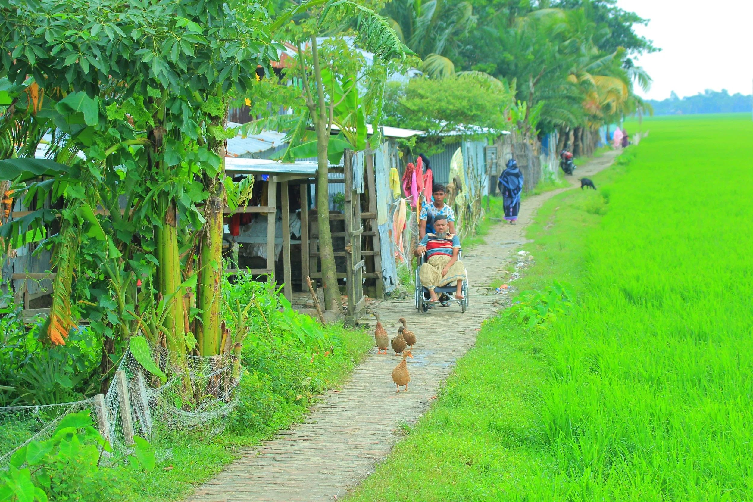 How the Sundarban Coalition Tackles Disasters and Inequality in Bangladesh's Coastal Region